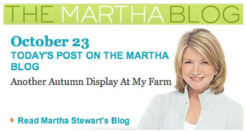 Martha Stewart Blog